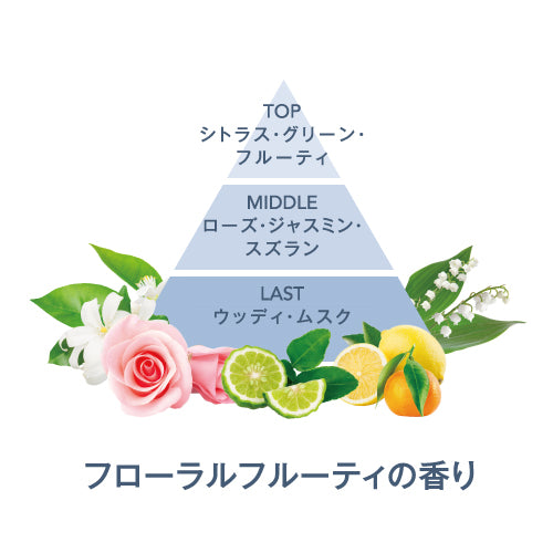 ボディスクラブ