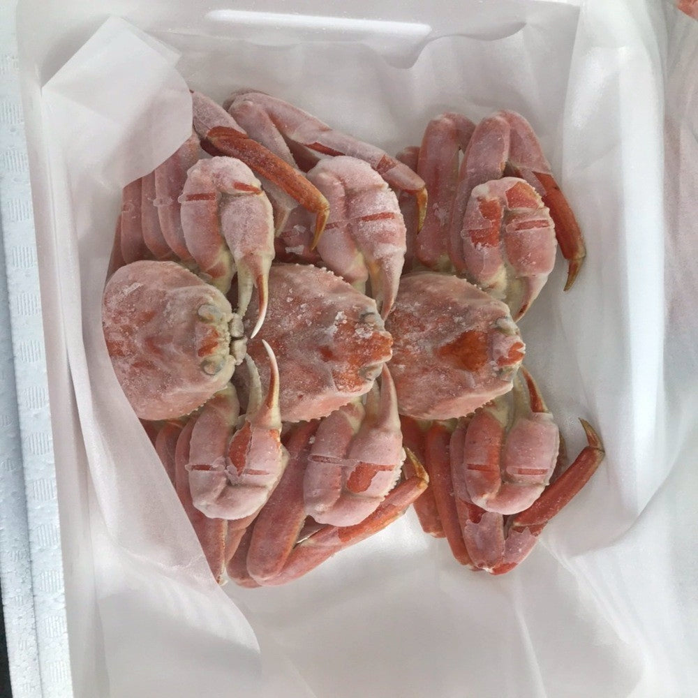 本ズワイガニ 姿まるごと3杯 — 新鮮な旨みを閉じ込めた逸品 約1.8kg〜2kg相当 —